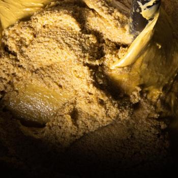 Lievito Madre- Cinardo Colombe artigianali